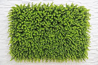 《极限竞速：地平线5》穿越侏罗纪主播娱乐赛火热开赛，赛果新鲜出炉！